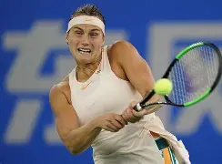 中国队带队取胜!,阿扎伦卡重要时刻败北再创辉煌时刻(141特遣队全员名单)-爱游戏