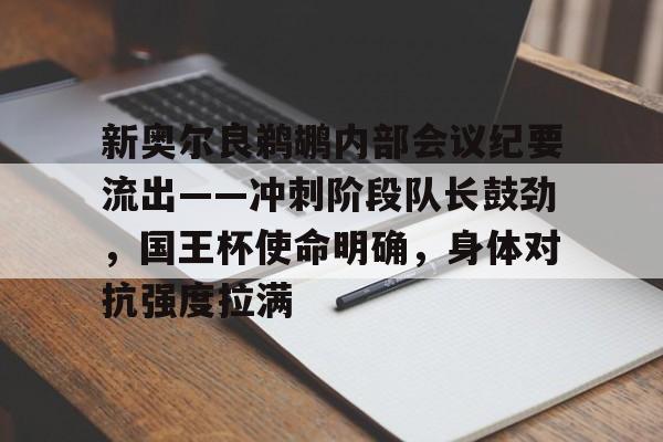 新奥尔良鹈鹕内部会议纪要流出——冲刺阶段队长鼓劲，国王杯使命明确，身体对抗强度拉满的简单介绍-爱游戏